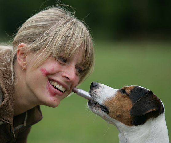 Aber bitte ohne Hund (Foto: privat)