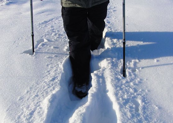 Im Schnee unterwegs (Foto: privat)