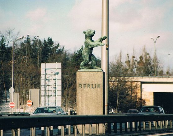 Bär an der Stadtautobahn (Foto: privat) Bär an der Stadtautobahn (Foto: privat)