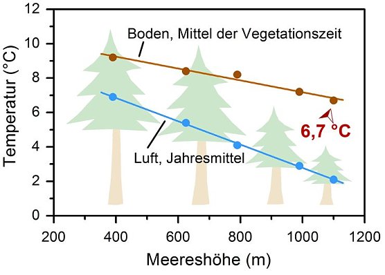 Grafik (Foto: privat) Grafik (Foto: privat)
