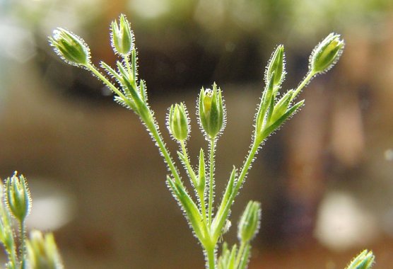 Gesch&uuml;tzt? (Foto: B. Schwarzberg)