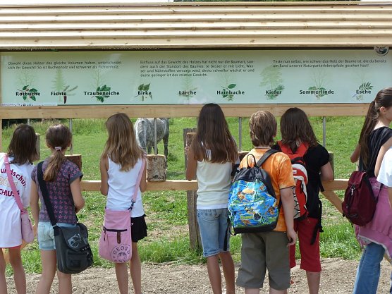 Die Wisentroute (Foto: privat) Die Wisentroute (Foto: privat)