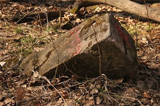 Grenzstein (Foto: privat) Grenzstein (Foto: privat)