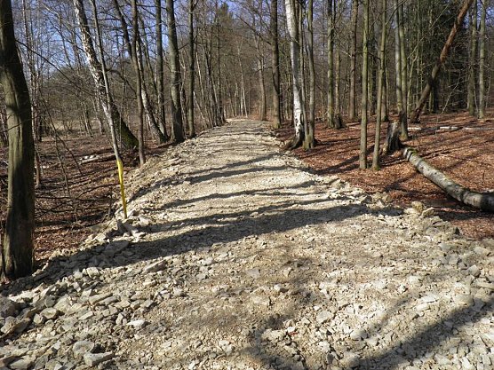 Priorteich (Foto: privat) Priorteich (Foto: privat)