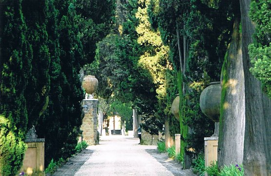 Der Park der Villa Massimo (Foto: privat)