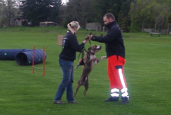 Vorf&uuml;hrung (Foto: privat)