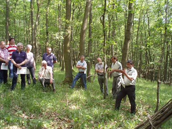 Exkursion (Foto: Forstamt) Exkursion (Foto: Forstamt)