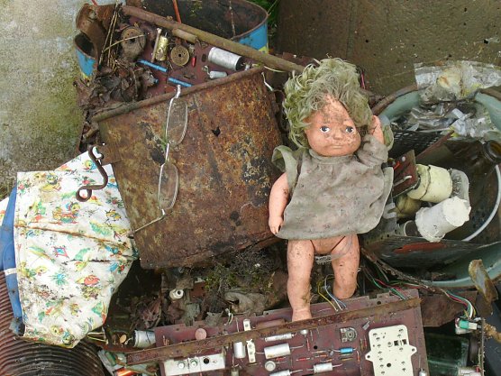 Müll in der Umwelt (Foto: BUND) Müll in der Umwelt (Foto: BUND)