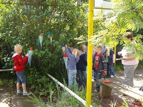 Zuckert&uuml;tenbaum (Foto: S. Iffland)