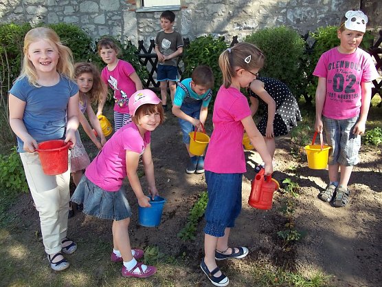 Gartenarbeit (Foto: privat) Gartenarbeit (Foto: privat)