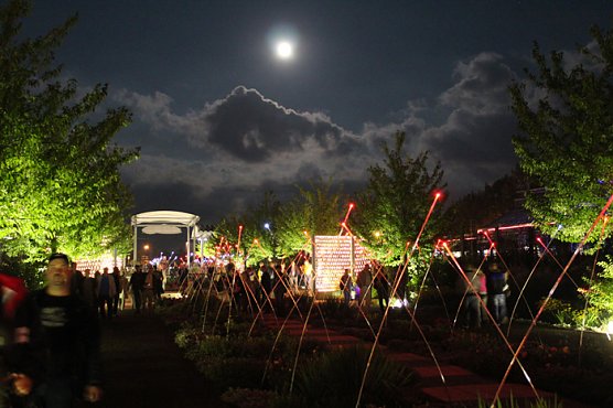 Botanischer Garten im Lichtermeer (Foto: Stadt Bad Frankenhausen)