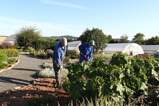 &Ouml;kologischer Gartenbau (Foto: Horizont e.V.)