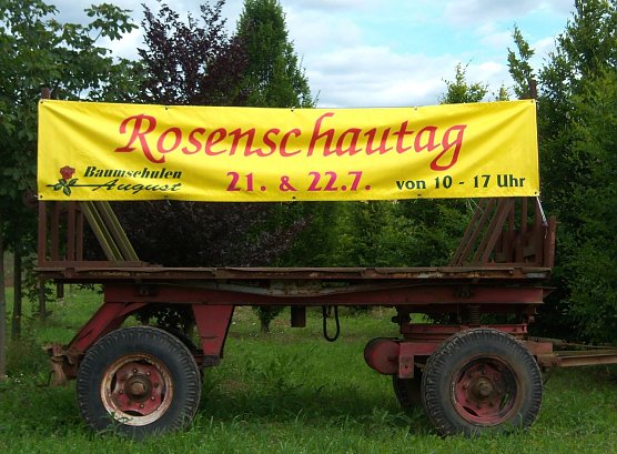 Rosenschautag (Foto: privat)