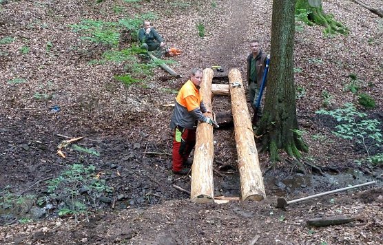 Br&uuml;cke &uuml;ber Seelenpfad (Foto: privat)