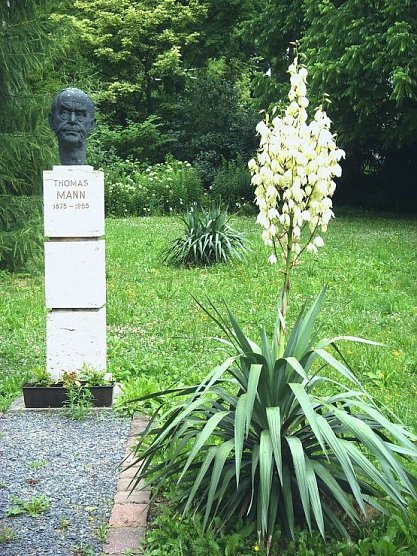 Bl&uuml;tenpracht in Nordhausen (Foto: Jost R&uuml;nger)