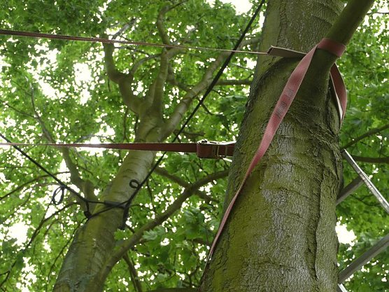 Erste Ma&szlig;nahmen 2005 (Foto: WBG)