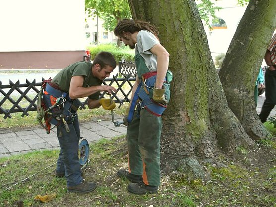 Zweite Ma&szlig;nahme 2008 (Foto: WBG)