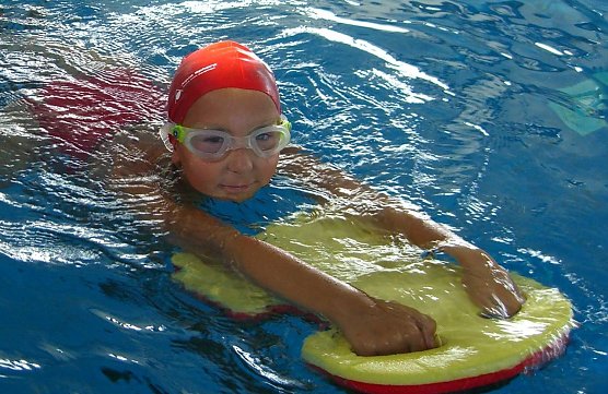 Seepferdchen (Foto: Badehaus)