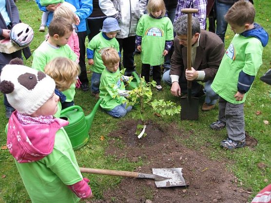 neustadt (Foto: neustadt)