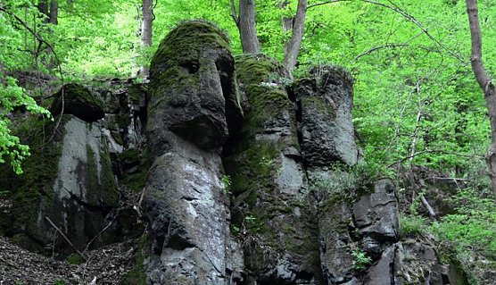 Steinmühlenthal (Foto: Naturpark Südharz) Steinmühlenthal (Foto: Naturpark Südharz)