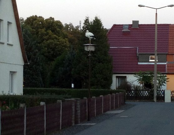 Zu Gast in der Siedlung (Foto: Benjamin K&uuml;hnemund)