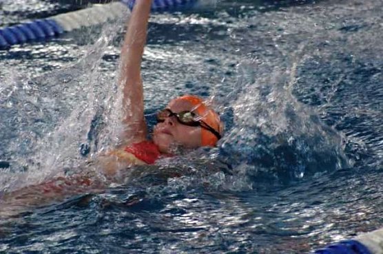 Leistungsschwimmen (Foto: Schwimmverein Nordhausen) Leistungsschwimmen (Foto: Schwimmverein Nordhausen)