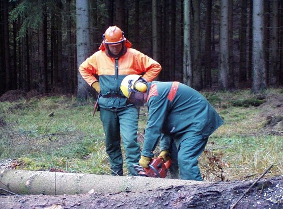Lehrgang ist notwendig (Foto: Forstamt Bleicherode)