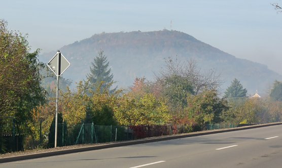 18. Stadtparklauf (Foto: Karl-Heinz Herrmann)