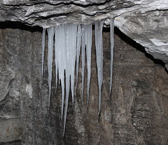 Ausgefallene Motive gefragt (Foto: J. Piper) Ausgefallene Motive gefragt (Foto: J. Piper)