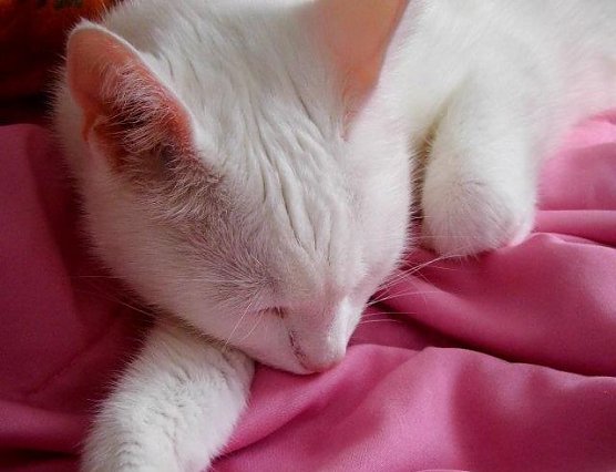 Produkttester (Foto: FHN)