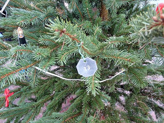 Im Eis versunken (Foto: Karl-Heinz Herrmann) Im Eis versunken (Foto: Karl-Heinz Herrmann)