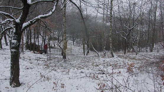 Pflegeeinsatz (Foto: privat)