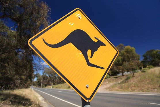 Einmal rundherum (Foto: privat) Einmal rundherum (Foto: privat)