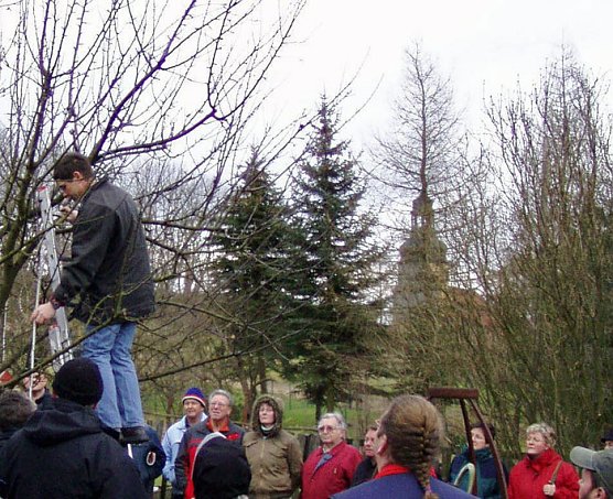 Baumschnittseminar (Foto: Kunsthof Friedrichsrode)