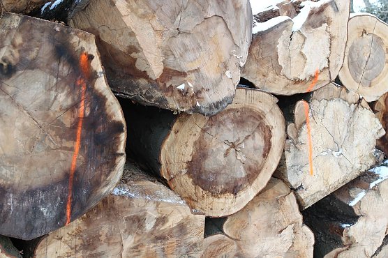 Verkaufswert? (Foto: nnz)