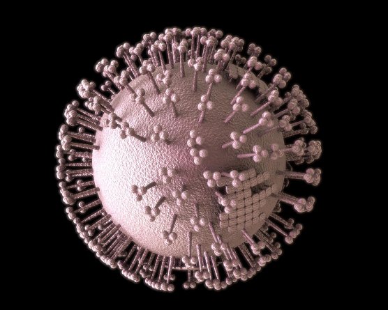 Influenza-Virus (Foto: Advamed/Klosterfau)