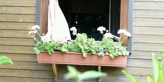 Feuer am Zuckerweg (Foto: nnz)