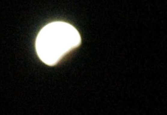 "Abgetaucht! (Foto: Jeschke)