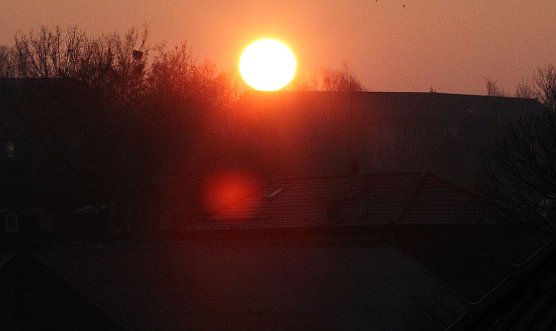 Aufgegangen (Foto: privat)