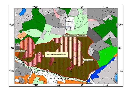 Karte (Foto: Forstamt, Autor) Karte (Foto: Forstamt, Autor)