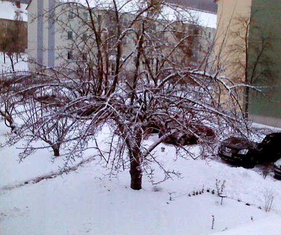 Wo bleibt der Fr&uuml;hling? (Foto: S. Kaufhold)