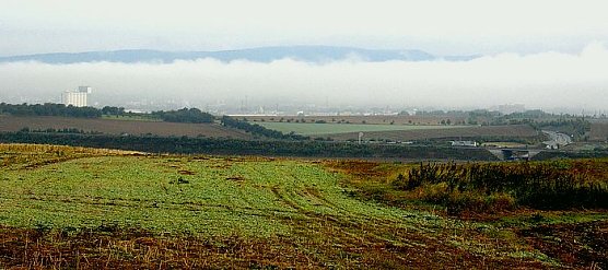 Leser-Foto (Foto: Thomas Soszynski)
