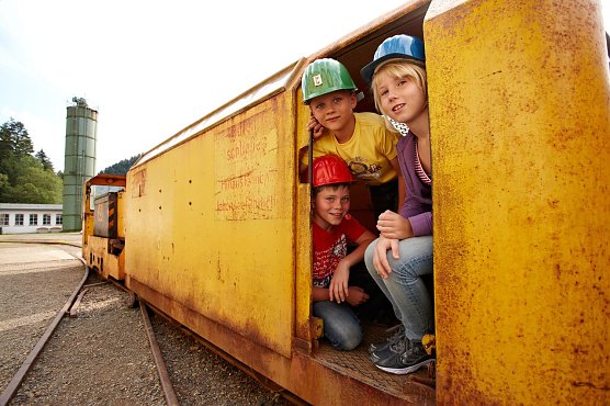 Harz-Entdecker gesucht (Foto: HTV)