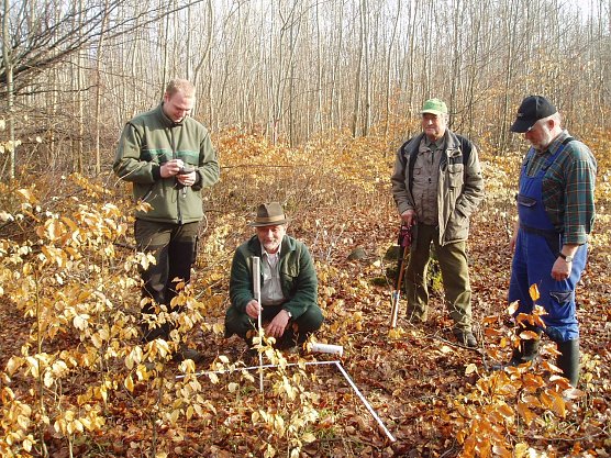 Verbissaufnahme (Foto: Forstamt Bleicherode-S&uuml;dharz)