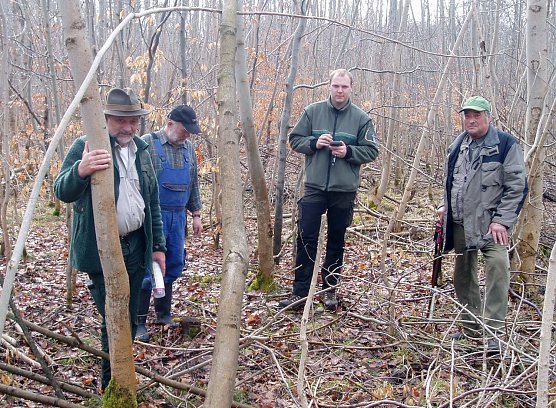 Aufnahme von Sch&auml;lsch&auml;den (Foto: Forstamt Bleicherode-S&uuml;dharz)