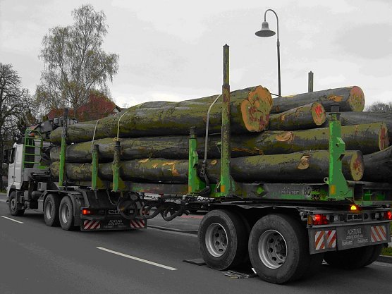 Überladen (Foto: API) Überladen (Foto: API)