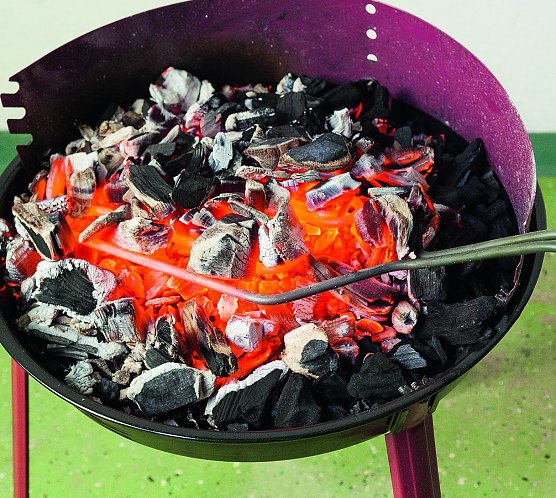 Sicher: Mit Elektrostab (Foto: Stiftung Warentest)