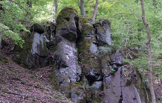 Das Steinmühlental (Foto: privat) Das Steinmühlental (Foto: privat)