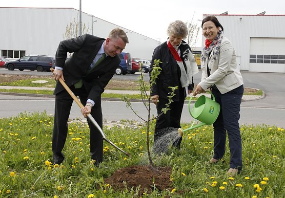 Wönnmann, Hartmann, Siegesmund (Foto: privat) Wönnmann, Hartmann, Siegesmund (Foto: privat)