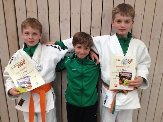 judo (Foto: jcn) judo (Foto: jcn)